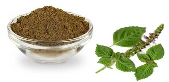 Tulsi Powder