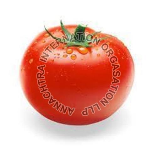 Fresh Tomato