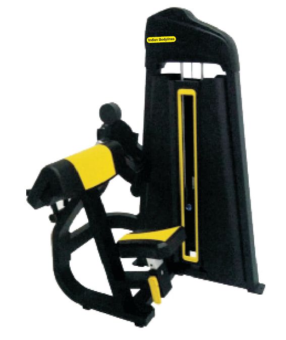 Abdominal Commercial Biceps/Triceps Exercise Machine at Rs 89500 in Pune