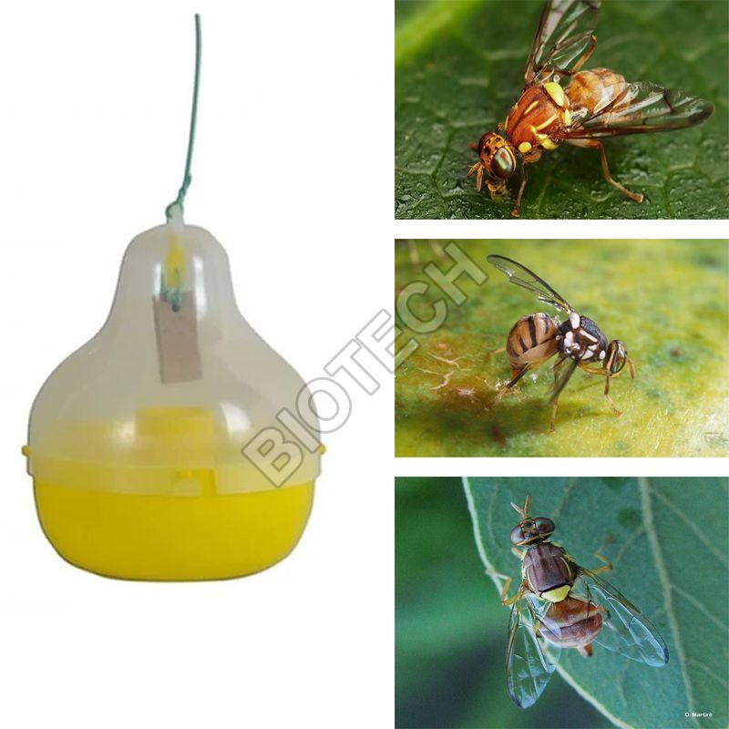 Biological Fly Trap,eco-friendly Fly Catcher Manufacturer-supplier China