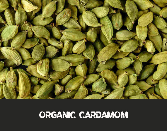 Organic Cardamom