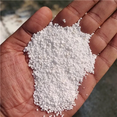PP Sabudana