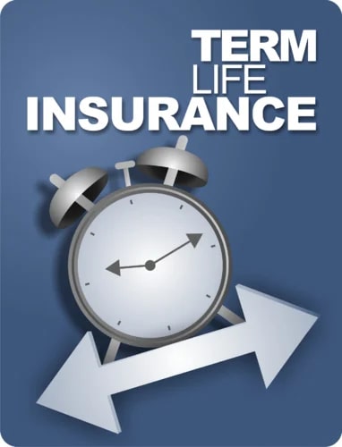 Term Insurance Services