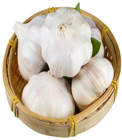 Fresh Garlic