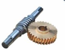 Worm Gear