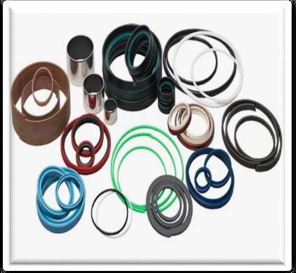 Oil Seal