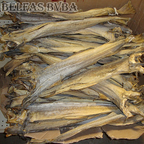 Dried Stockfish