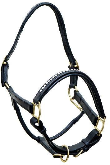 horse riding equipment