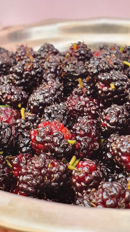 Frozen Mulberry whole