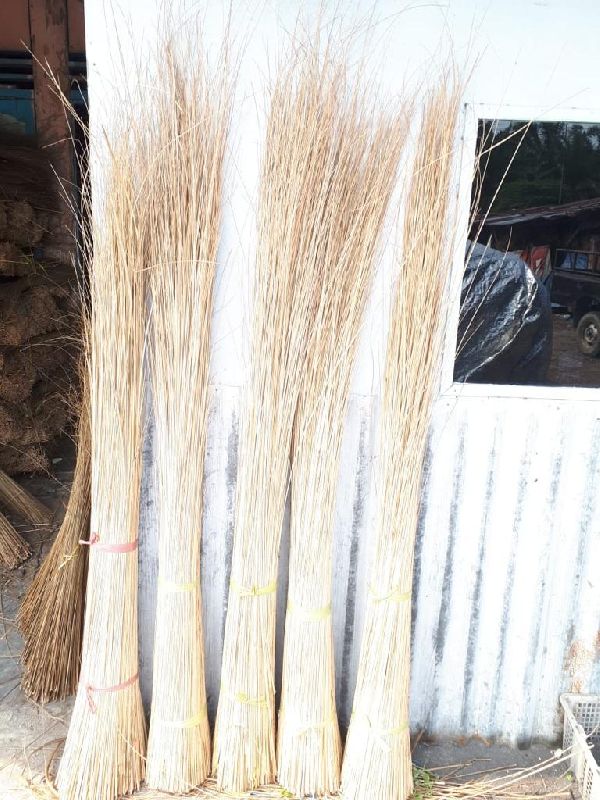 Nipah Indonesia Coconut Broom