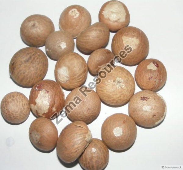 Betel Nut
