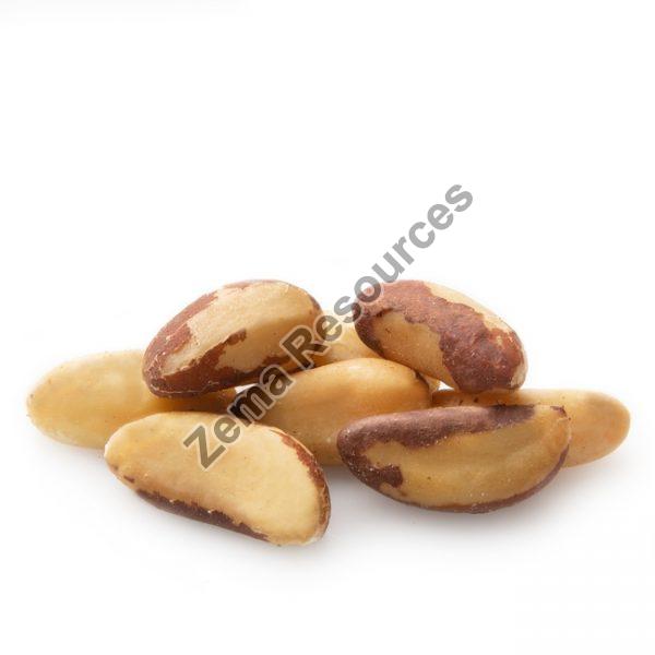 Brazil Nuts