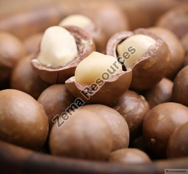 Macadamia Nuts Exporter,Wholesale Macadamia Nuts Supplier from United