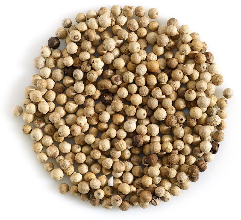 White Pepper Seeds