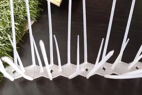 Polycarbonate Bird Spikes