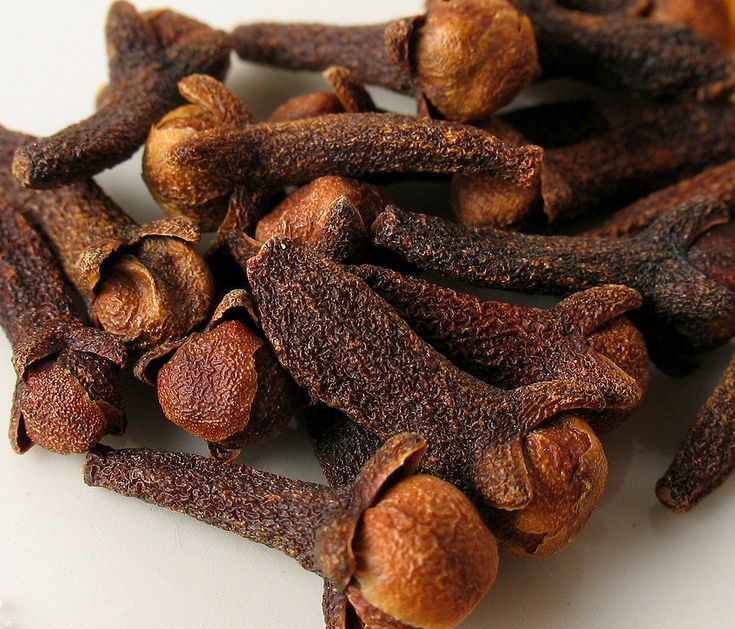 Dried Cloves Exporter,Dried Cloves Supplier from Delhi India