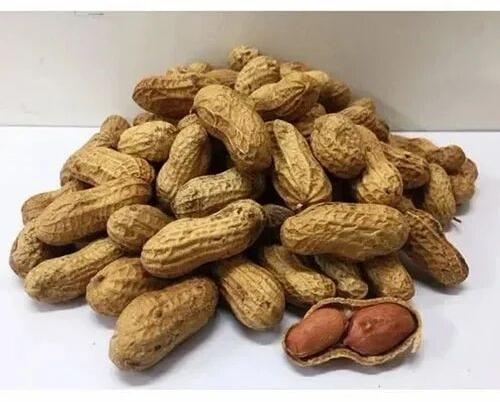 Whole Groundnut Peanut