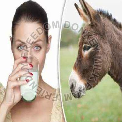 Natural Donkey Milk
