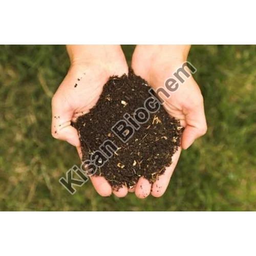 Organic City Compost Fertilizer