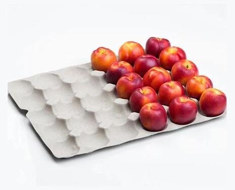 Paper Pulp Moulded Apple Tray