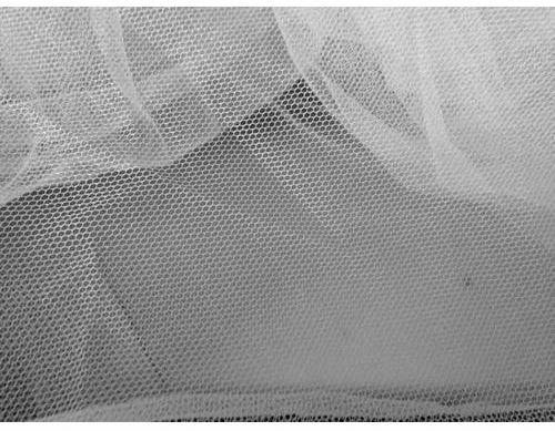 Nylon Net Fabric