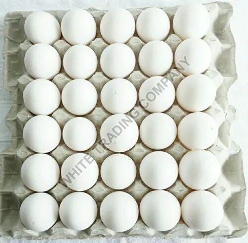 Indian White Shell Eggs
