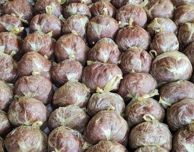 Cattle Feed Jaggery Exporter, Supplier from Vadodara