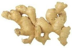Raw Ginger