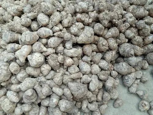 Black Turmeric Seed