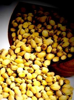 Dried Organic Coriander Seed
