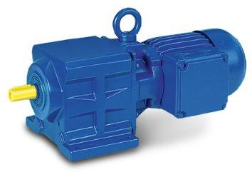 Electric Gear Motor