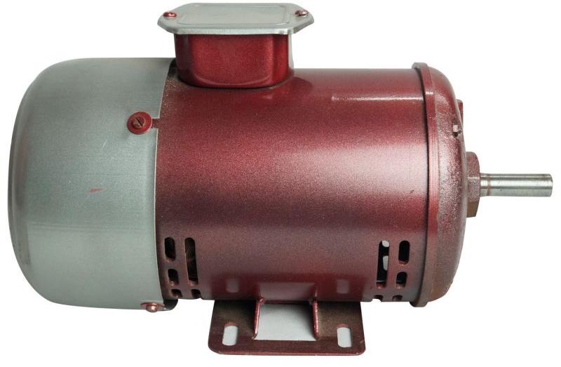 Electric Induction Motor