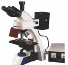 Trinocular Microscope