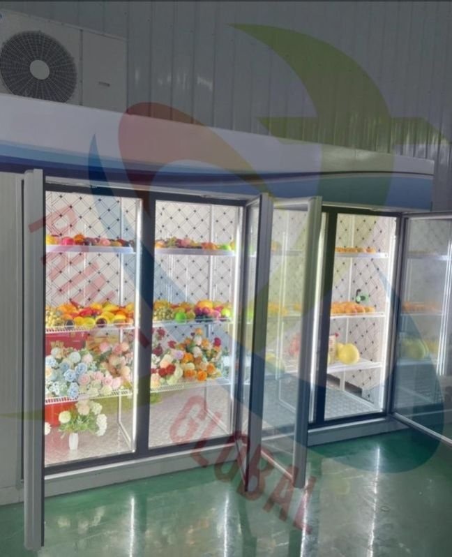 Glass Door Display Cold Room