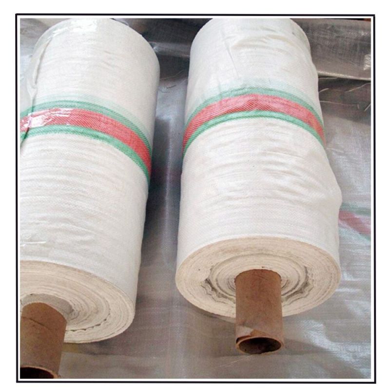 PP Woven Fabric Strip