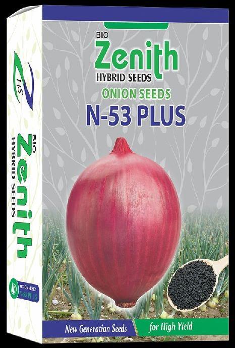 Hybrid N-53 Plus  Onion Seeds