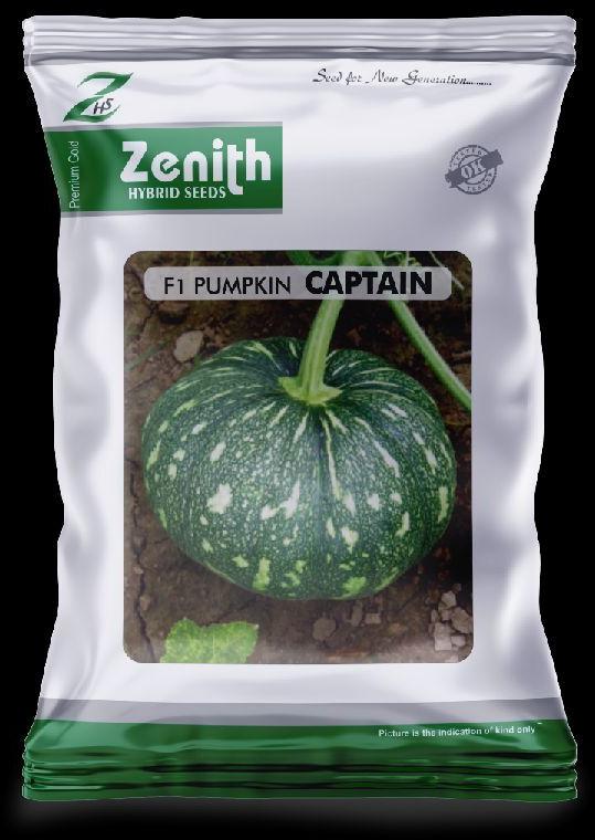 Captain Hybrid Pumpkin Seeds