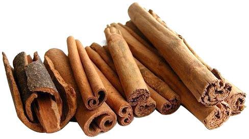Dried Cinnamon Stick