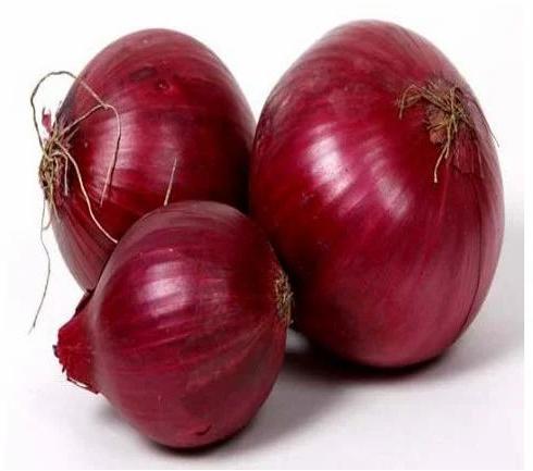 Fresh Bhagva Red Onion