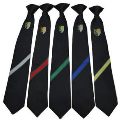 School College Ties