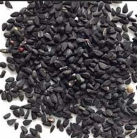 1836 Nigella Seeds