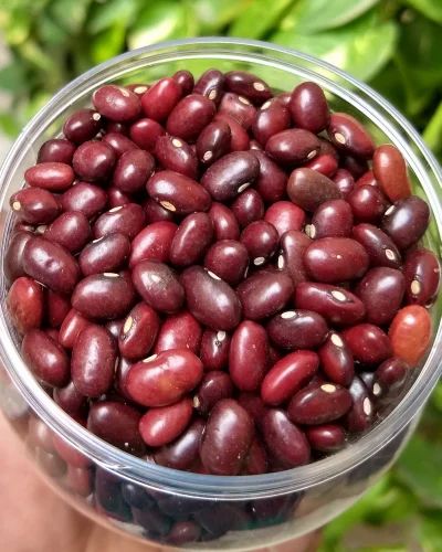 1836 Kidney Beans