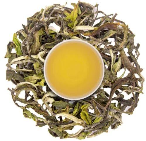 1836 White Tea