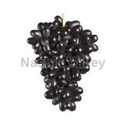 Black Sonaka Grapes