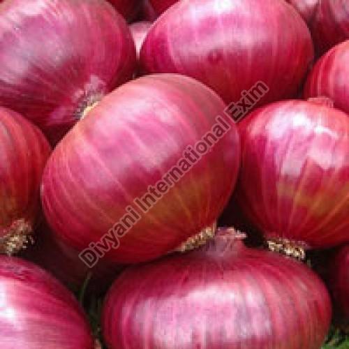 Fresh Red Onion