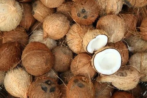 A Grade Coconut