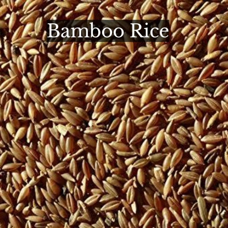 Bamboo Rice