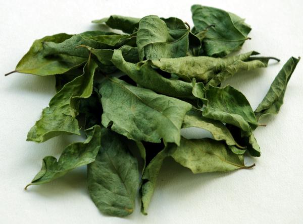 Dried Curry Leaves