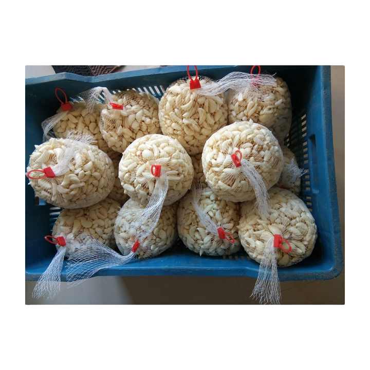 Pink Plastic Garlic Packaging Mesh Bag at Rs 3.50/piece in Mandsaur | ID:  24987834188