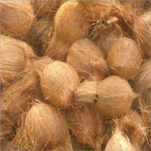 B Grade Solid Semi Husked Coconut